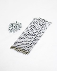 RAIO DIANT NX/XR/XLX350 DDL ORIG CROMADO