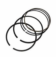 JG ANEIS SEG CG/ML/TUR  STD MAHLE