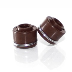 RETENT VALV CG/TITAN VEDAMOTORS (PAR)