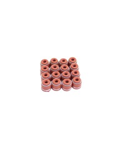 RETENT VALV BIZ/YBR/TIT02/150 MOTOBOR 2M