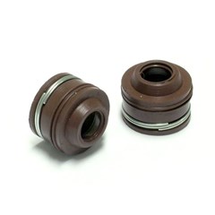 RETENT VALV BIZ/YBR/TIT02/150 VEDAMO PAR