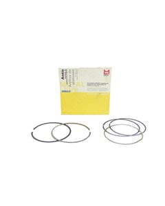 JG ANEIS SEG BIZ 125/FAN 2009 1,00 MAHLE