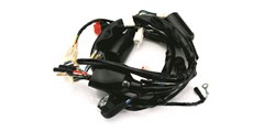 CHICOTE INSTALA XLR125 01/02 ES MAGNETRO
