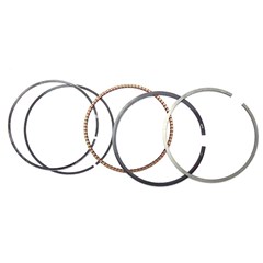 JG ANEIS SEG BIZ 125/FAN 2009 0,25 MHX