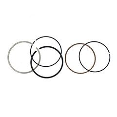 JG ANEIS SEG TIT150/NXR150 06/10 0,25MHX