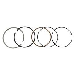 JG ANEIS SEG TIT150/NXR150 06/10  STDMHX