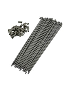 RAIO DIANT XT600 BACE INOX (JG36