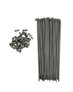 RAIO DIANT XT600 BACE INOX (JG36