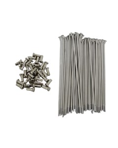 RAIO TRAS XRE300 BACE INOX (JG36)