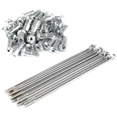 RAIO DIANT BIZ100/125 BACE INOX (JG)