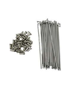 RAIO TRAS BIZ100/125/POP 3.5M INOX BACE