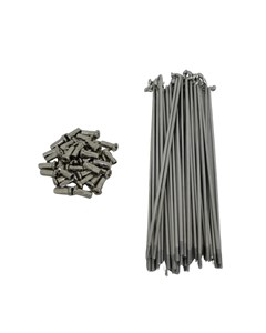 RAIO DIANT NXR160 BROS BACE INOX DISCO