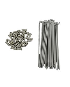 RAIO TRAS XT600 BACE INOX (JG36