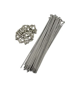 RAIO DIANT XR250 TORN BACE INOX(JG)