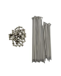 RAIO TRAS XR250 TORN BACE INOX(JG)