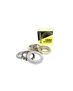 CAIXA DIRE LEAD 110 2009 E/D  DANIDREA