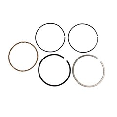 JG ANEIS SEG TITAN 2002/08 1,00 MHX