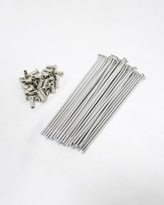 RAIO TRAS CRF230 BACE INOX (JG36)