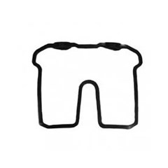 GUARNICAO TPA VALV CBX250/TORN VEDOX