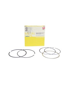 JG ANEIS SEG FAZER150/XTZ150 1,00 MAHLE