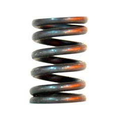 MOLA DE VALVULA TITAN2002/08 TRILHA