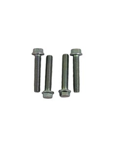 PARAFUSO TPA ESQ MOTOR 6X32 (KIT4PCS) MO