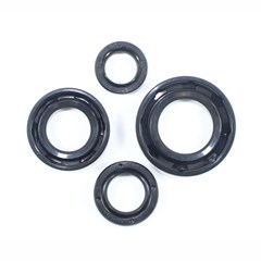 RETENT MOTOR TIT150 04/15/FAN (KIT) VEDA