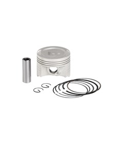 PISTAO/JG ANEIS FAN 125/09 0,50 WGK