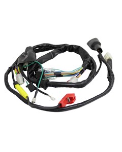 CHICOTE INSTALA FAN 125 05/08 UNIK