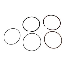 JG ANEIS SEG FAZER250/XTZ250/TEN STD MHX