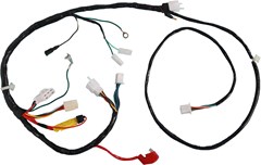 CHICOTE INSTALA BIZ100 00/01 KS ZOUIL