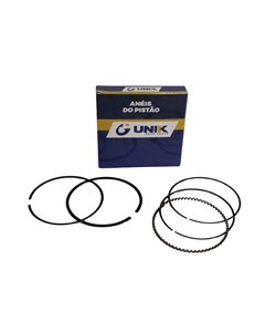 JG ANEIS SEG TIT150/NXR150 06/10 0,25UNI