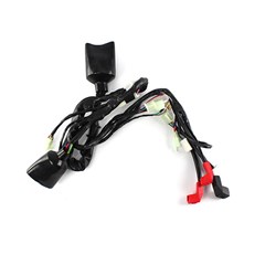 CHICOTE INSTALA PHOENIX50 GOLD 2011/19 M