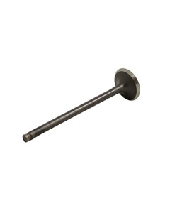 VALVULA ESCAP FAN125 09 AUTOTEC