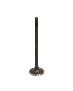 VALVULA ESCAP FAN125 09 AUTOTEC