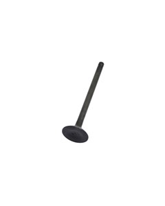 VALVULA ESCAP BIZ110I/POP110I AUTOTEC