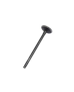 VALVULA ESCAP TIT 02/08 AUTOTEC