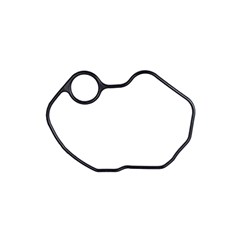 GUARNICAO TPA VALV CG/TITAN ORIGINAL