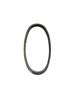 CORREIA TRANSMISSAO LEAD11/BURGMAN 06/10