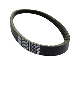 CORREIA TRANSMISSAO LEAD11/BURGMAN 06/10