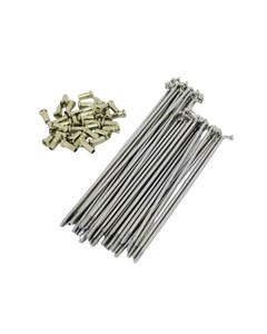 RAIO DIANT CG 83/99 UNIK 3.5MM CROMADO(J