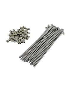 RAIO TRAS TIT00/08 SMART FOX INOX (JG)