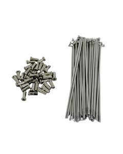 RAIO TRAS TIT00/08 SMART FOX INOX (JG)