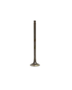 VALVULA ESCAP YES-125 WGK