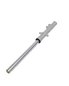 BENGALA COMP TIT150 04/08 ESD (DIR)EMBUS