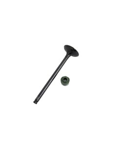 VALVULA ESCAP FAN125 2009 (C/RET VALV)