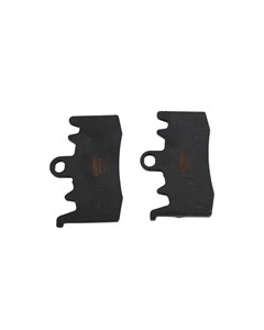 PAST FREIO D BMW GS1200/R1200/S1000XR CO