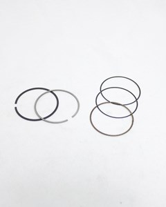 JG ANEIS SEG BIZ 125/FAN 2009 1,00 WGK