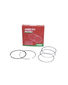 JG ANEIS SEG TIT150/NXR150 06/10 0,75WGK