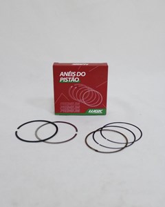 JG ANEIS SEG TIT150/NXR150 06/10 1,00WGK